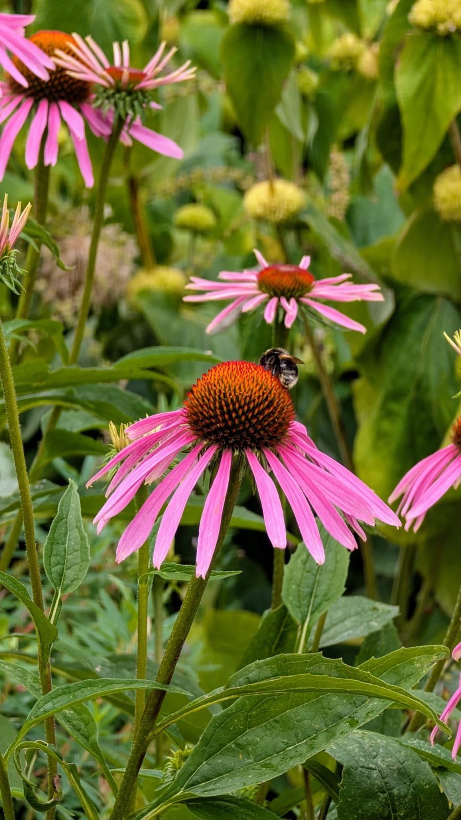 What to Do in Richmond for a Day