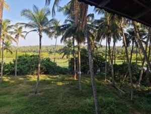 Kannur West Beach Homestay